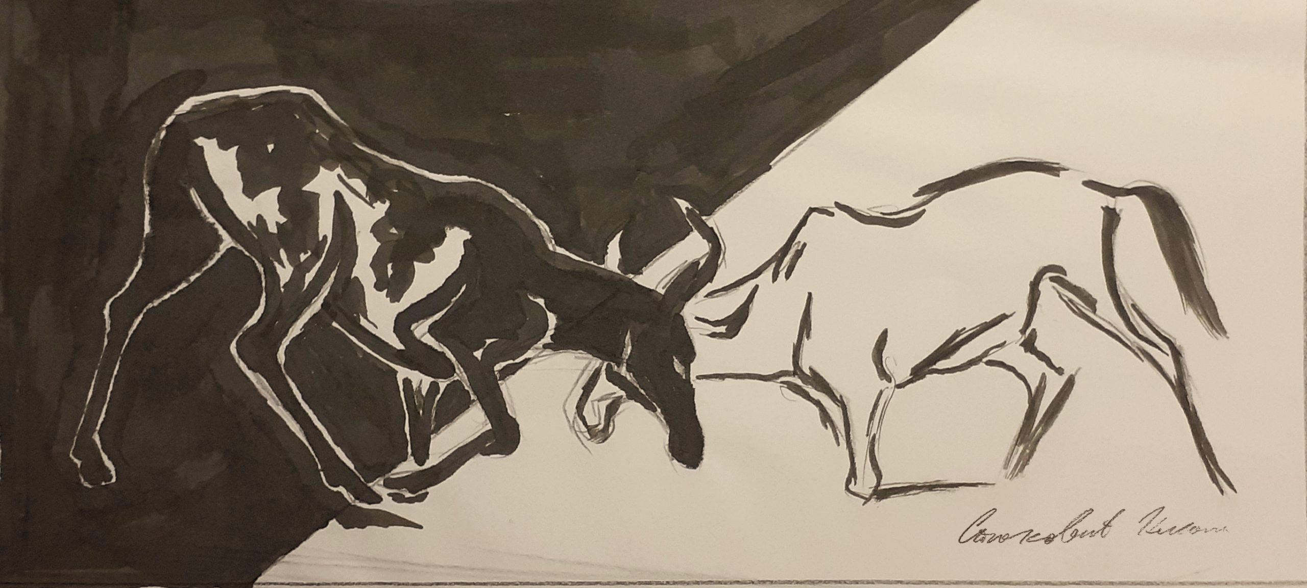 two bulls fighting drawing